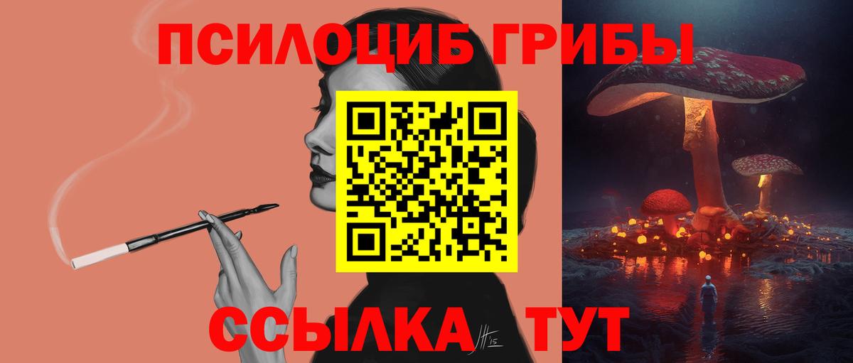 Псилоцибиновые грибы Psilocybine cubensis Баксан